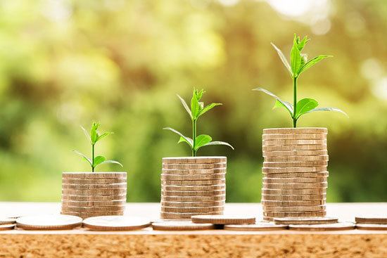 plants growing out of coins